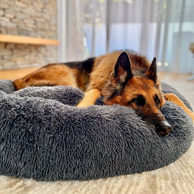Hundeseng Ortopædisk Blød Rund Beroligende Rede