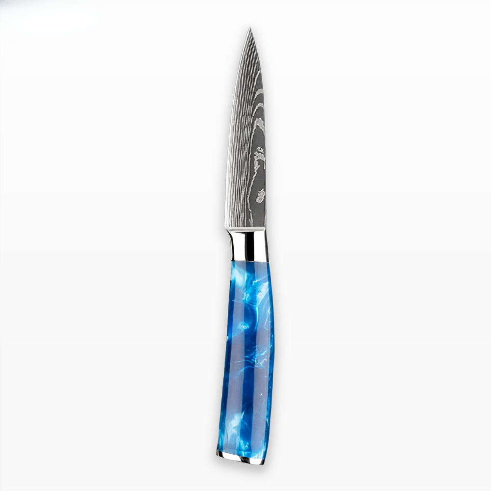 Køkkensæt med knive Blåt håndtag i harpiksdesign