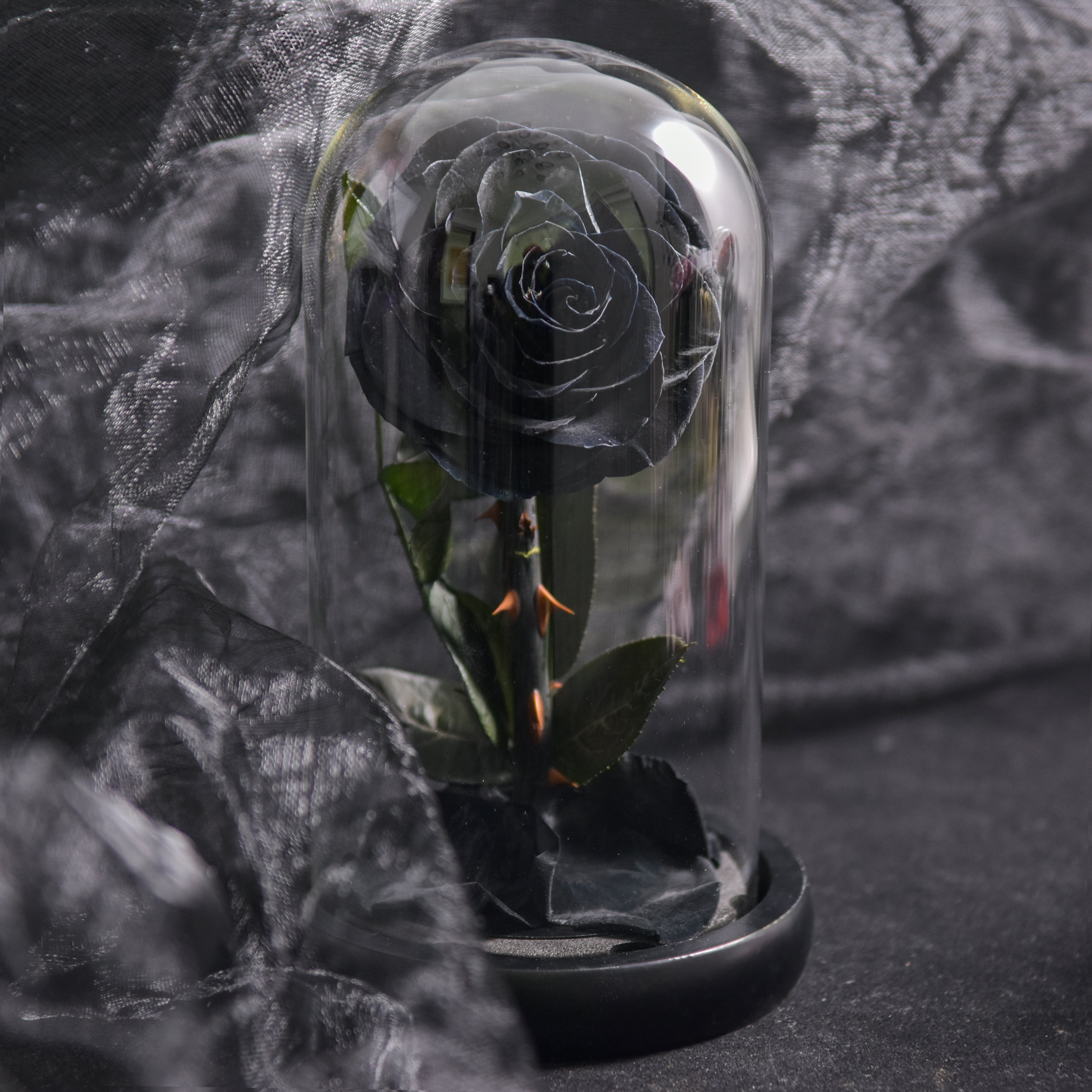 Preserved Rose Glass Dome Romantic Gift Decor