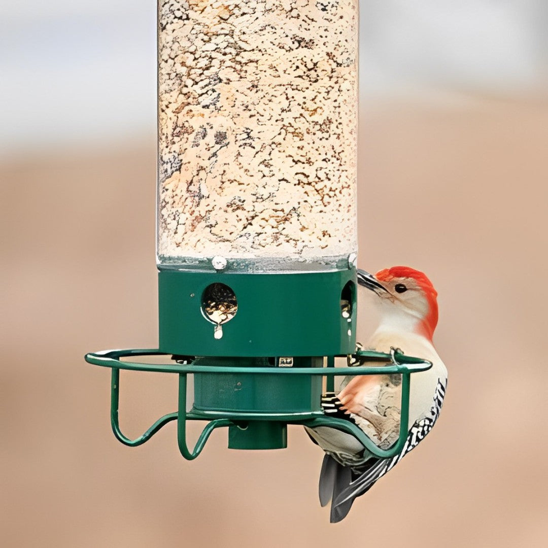 鳥の餌台 吊り下げ式 金属製 リス防止チューブ