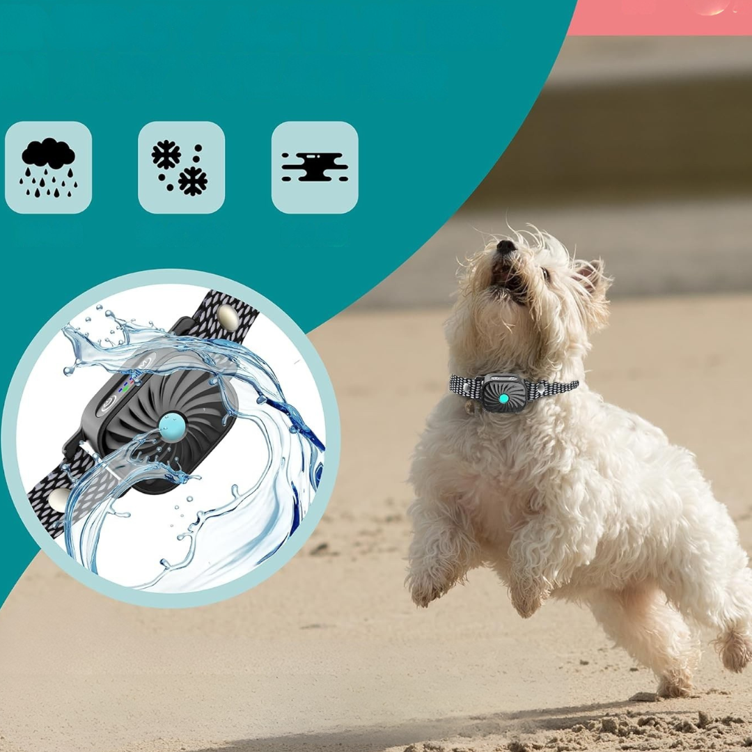 Dog Collar Anti Bark for Small Dogs