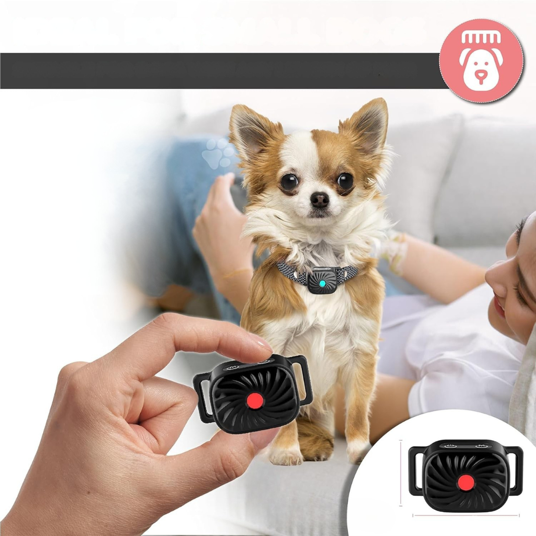 Dog Collar Anti Bark for Small Dogs