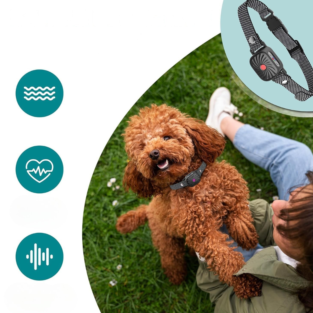 Dog Collar Anti Bark for Small Dogs