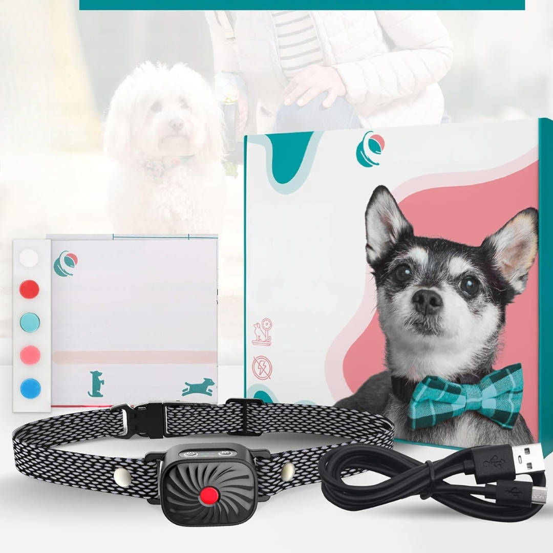 Dog Collar Anti Bark for Small Dogs