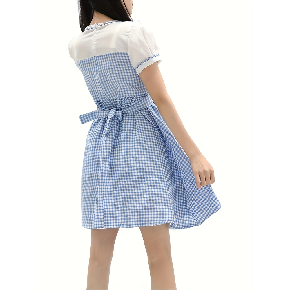 Halloween Dress Costume Dress Gingham Dress
