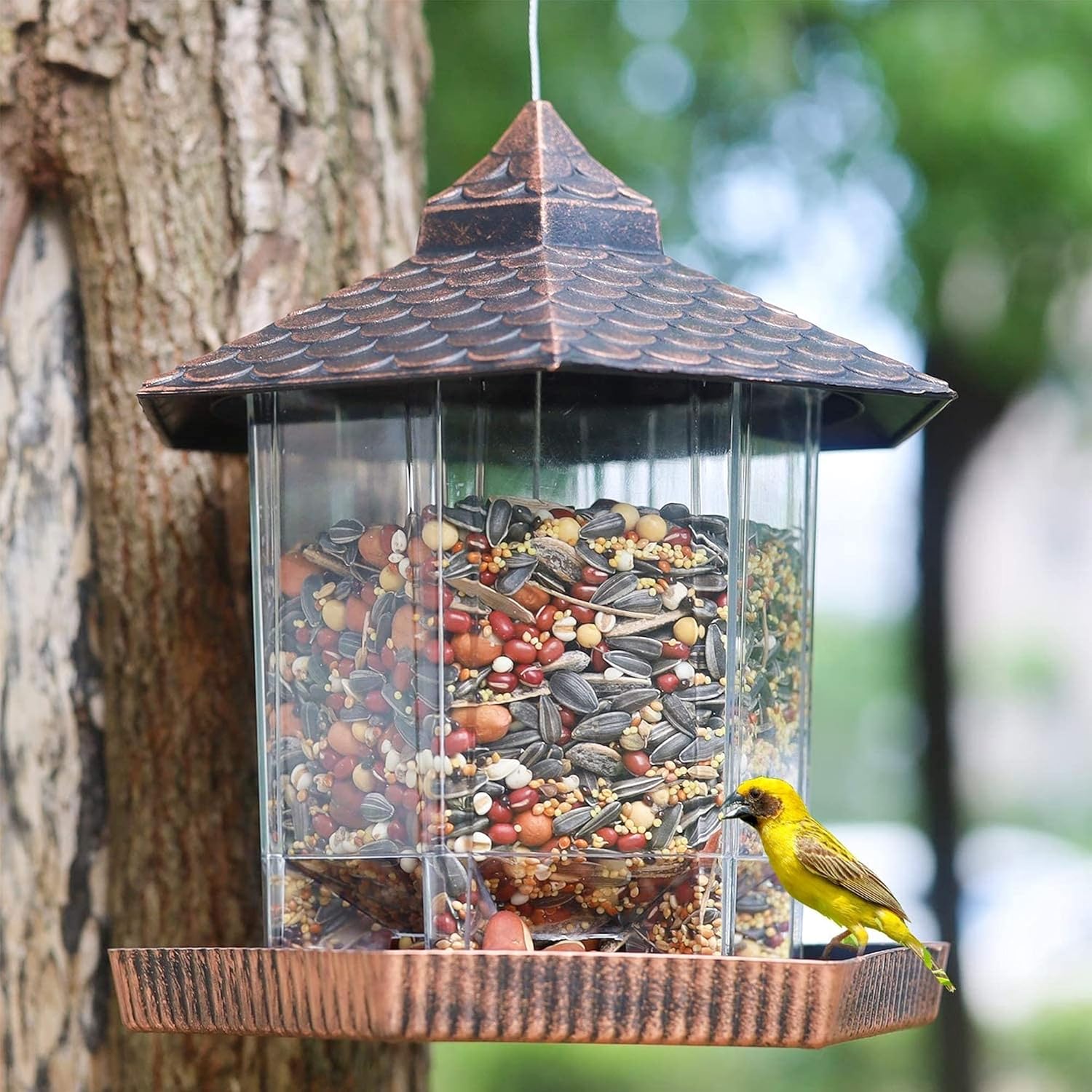 鳥の餌台 吊り下げ式 銅製屋根 屋外用