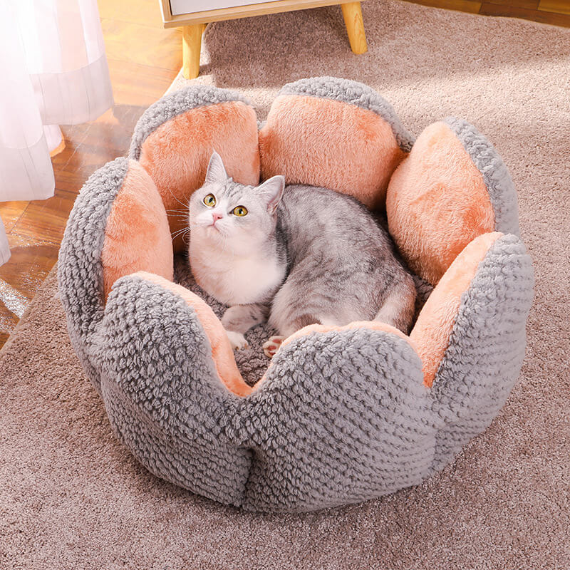 Katteseng Blødt Blomsterdesign til Katte Hunde