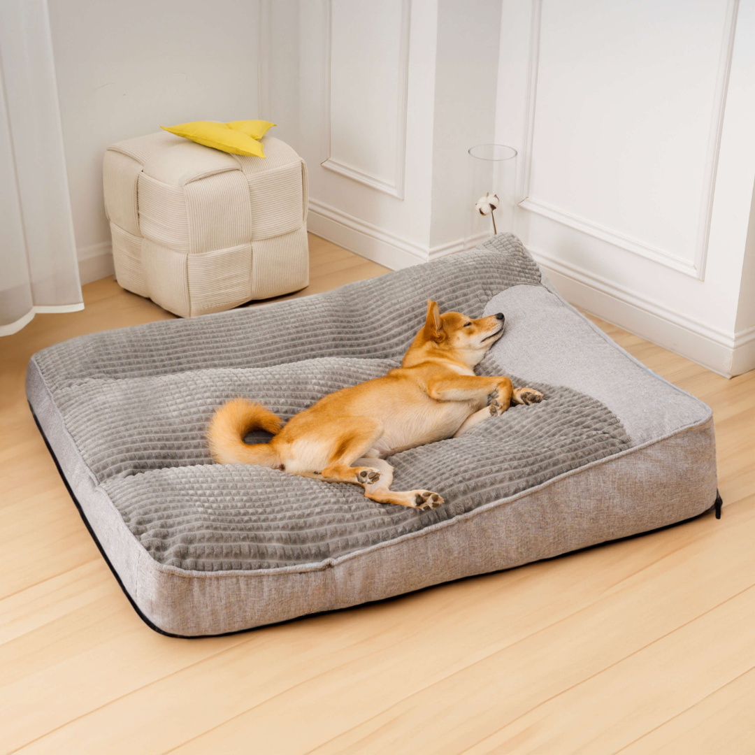 Orthopedic Dog Bed with Plush Support Cushion