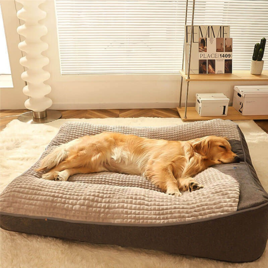 Orthopedic Dog Bed with Plush Support Cushion