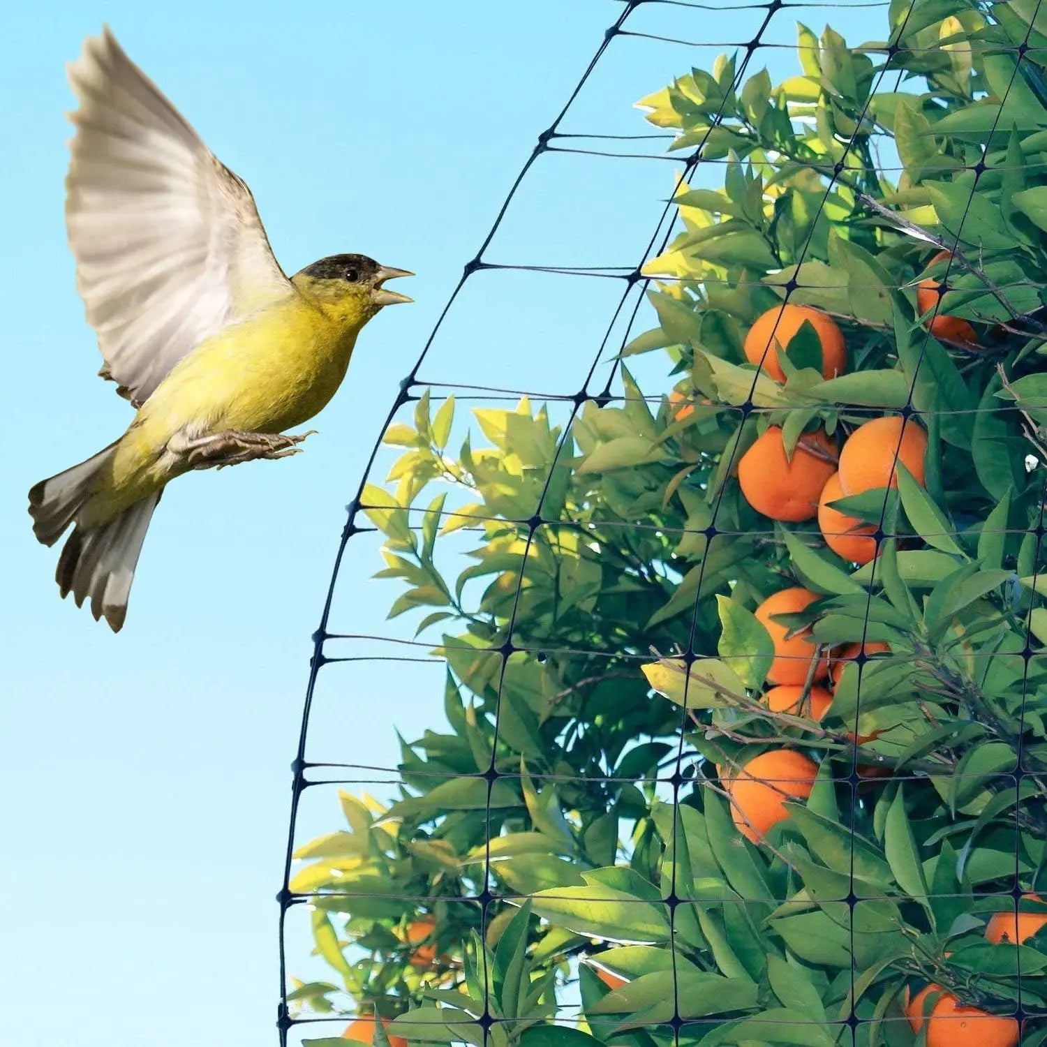 Filet GardenGuard | Clôture protectrice durable pour plantes
