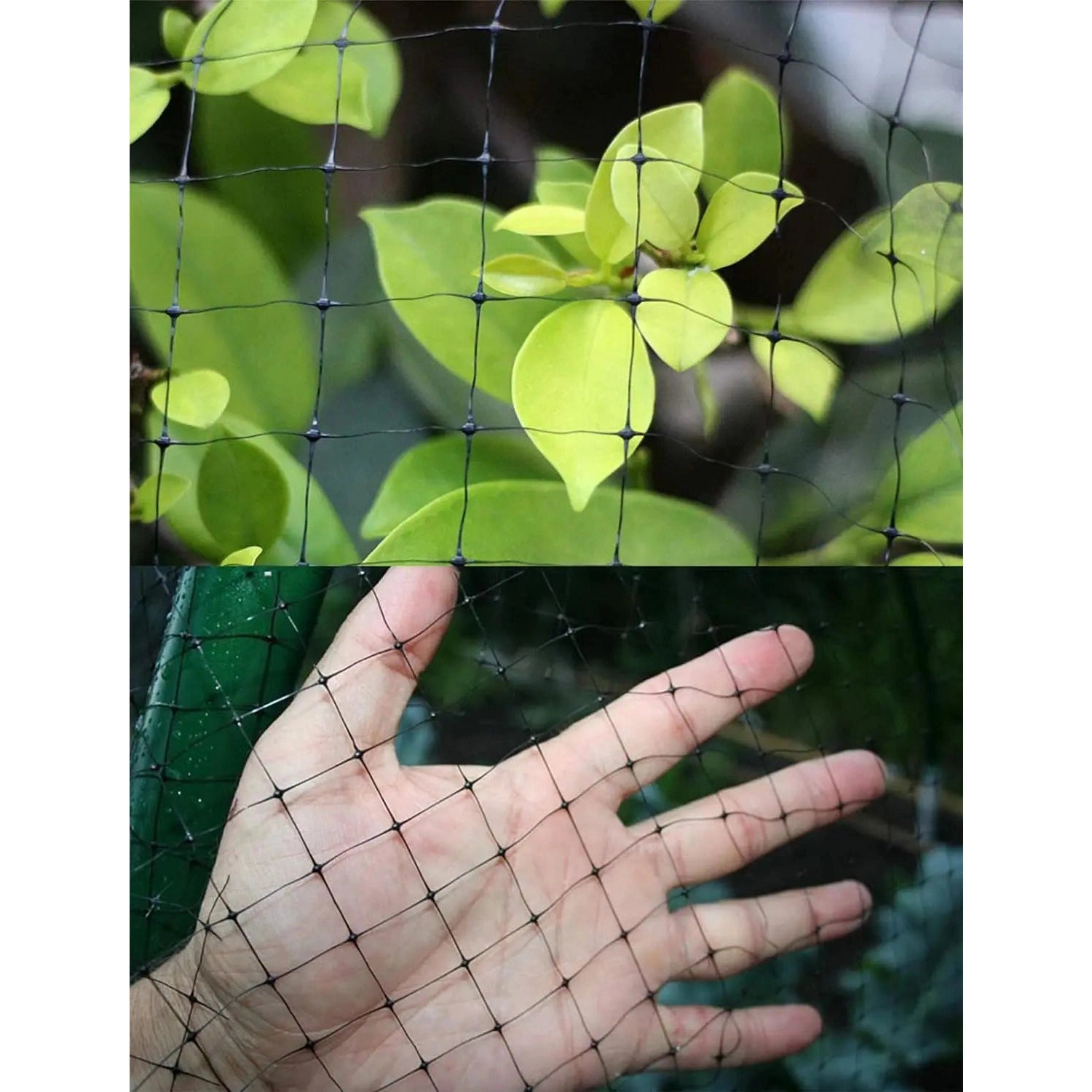 Filet GardenGuard | Clôture protectrice durable pour plantes