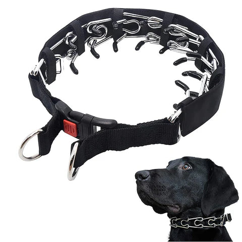 Dog Training Collar with Quick Release Buckle