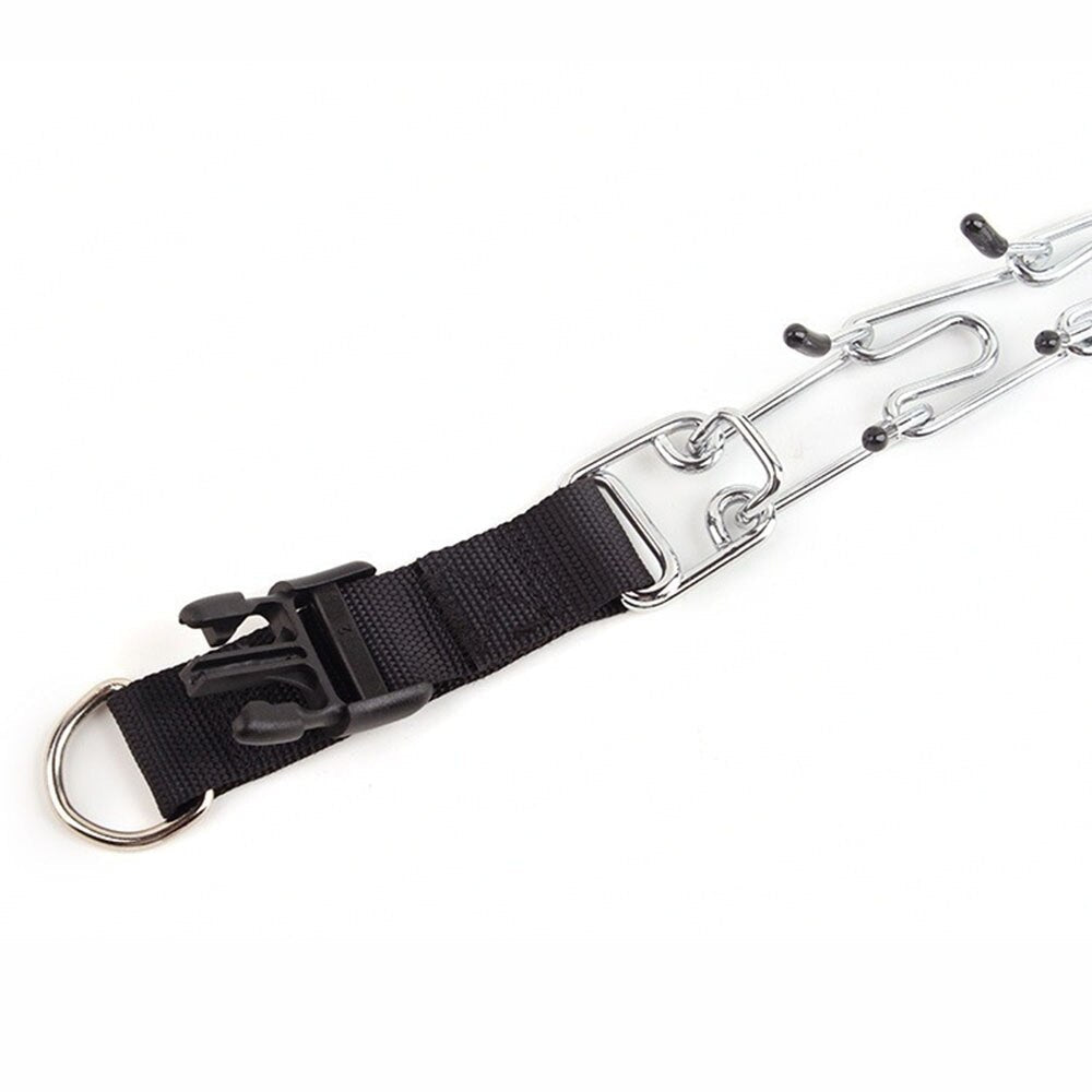 Dog Training Collar with Quick Release Buckle