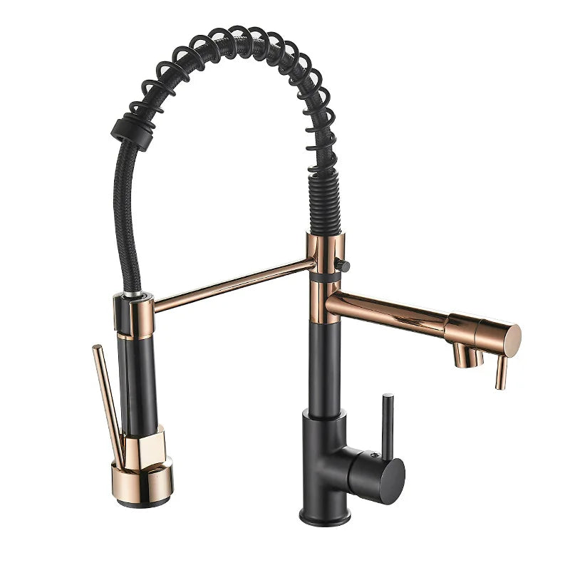 FlexFlow - Dual Spout Brass Kitchen Faucet