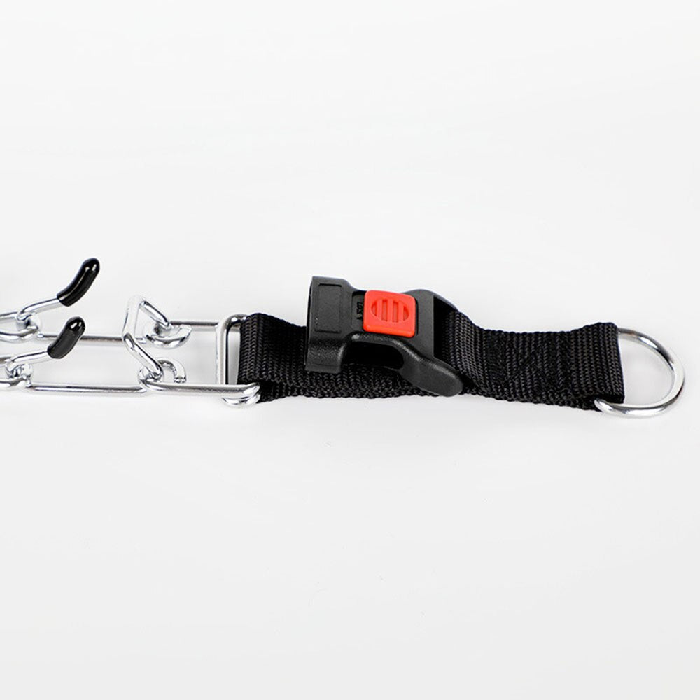 Dog Training Collar with Quick Release Buckle