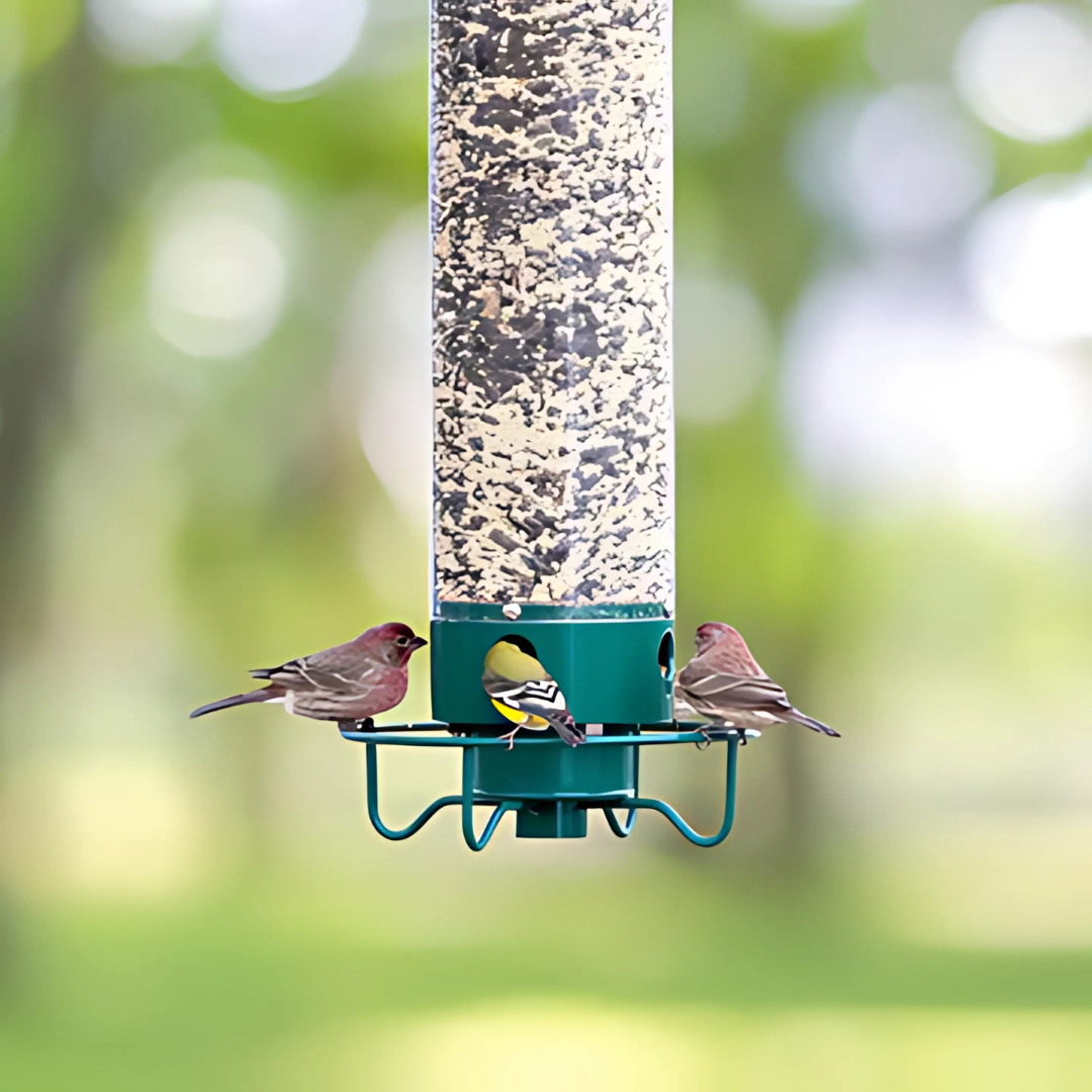 Mangeoire à oiseaux en métal suspendue, design anti-écureuil