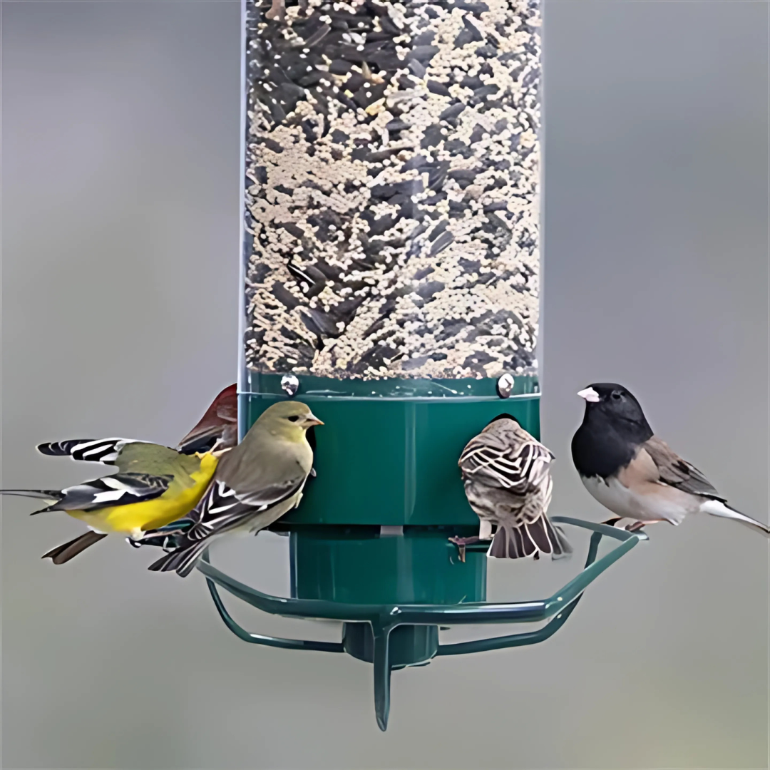 Mangeoire à oiseaux en métal suspendue, design anti-écureuil