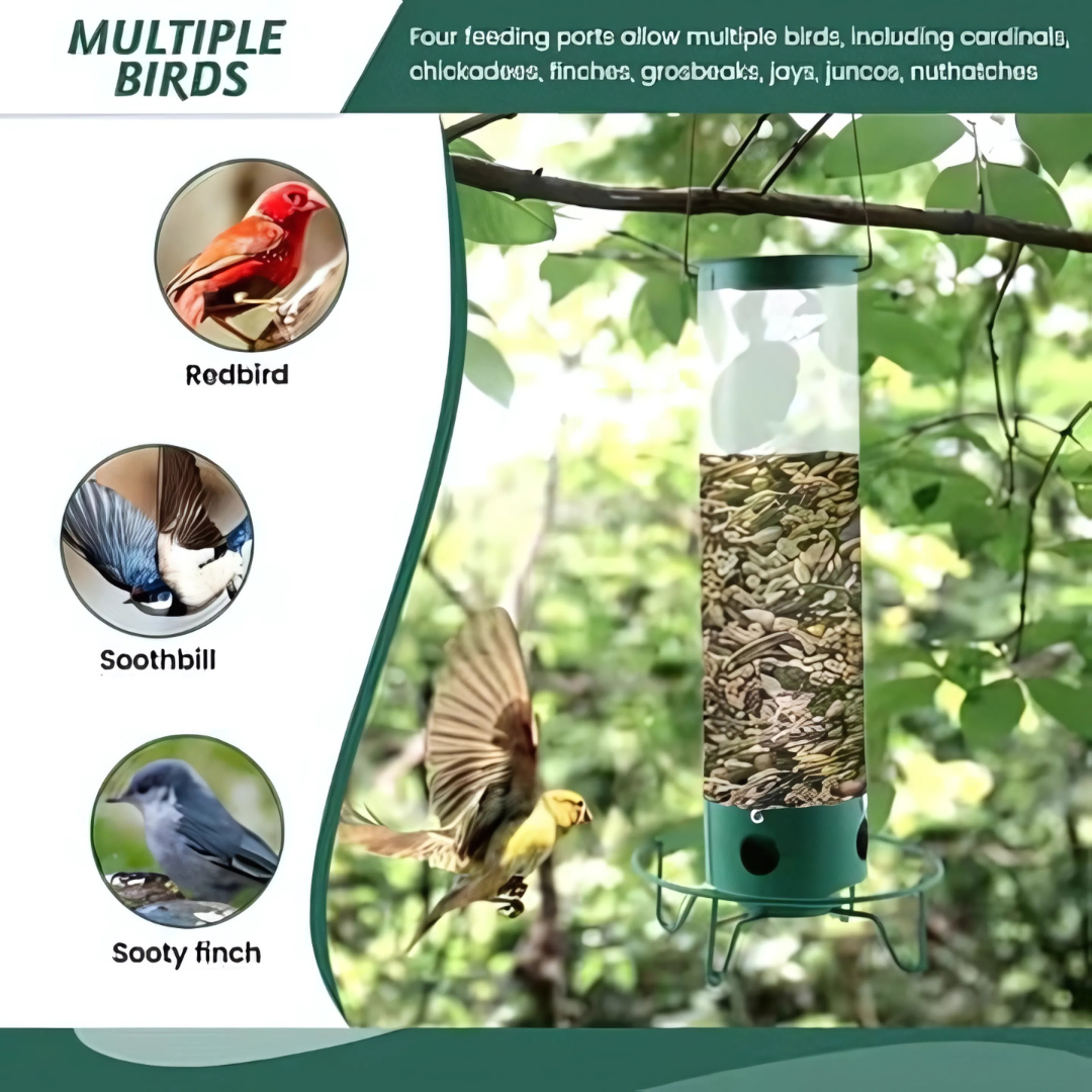 Mangeoire à oiseaux en métal suspendue, design anti-écureuil