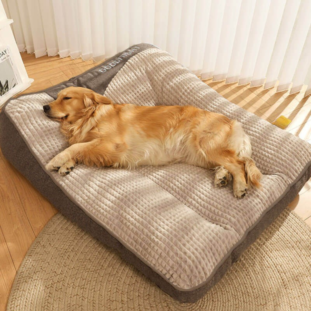 Ortopædisk Hundeseng med Blød Støttepude