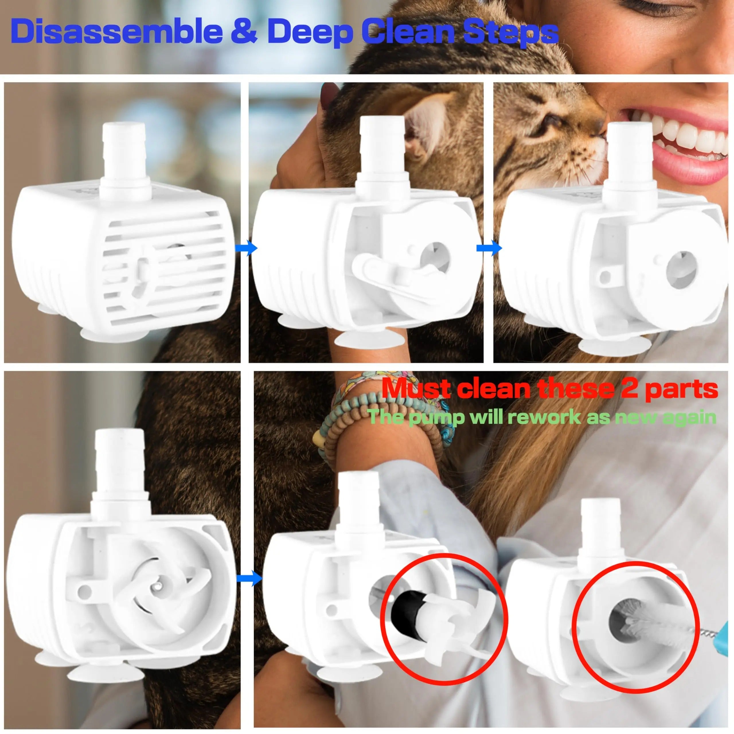 hydration-station-for-cats-wit-6-ss0lm4