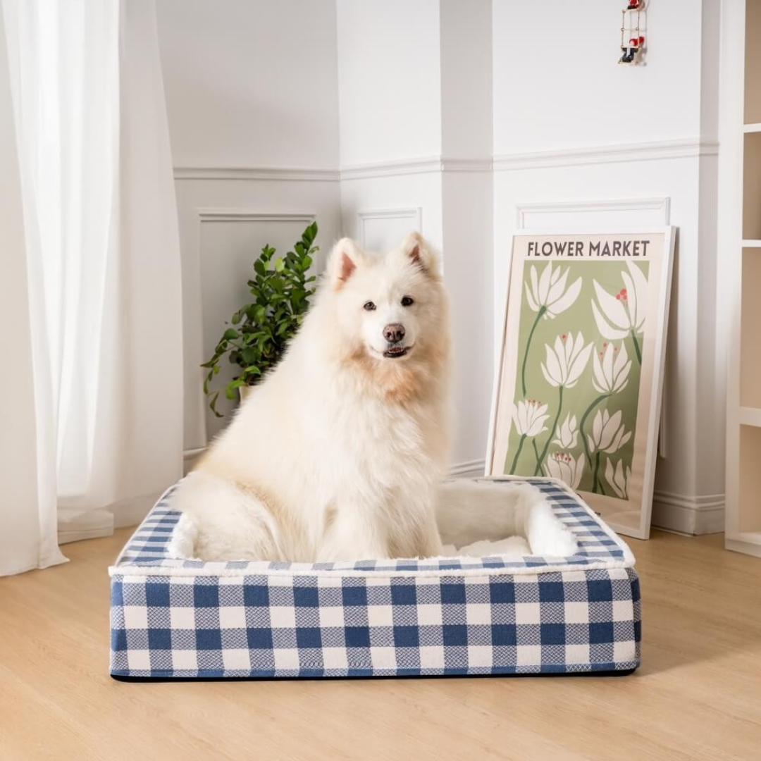 Hundeseng med skumstøtte og blødt for