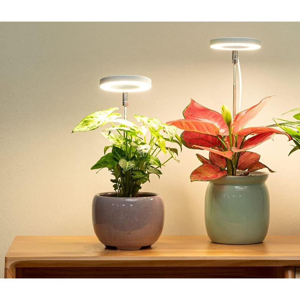 GrowLight Pro | Lampe LED réglable pour la croissance des plantes en intérieur