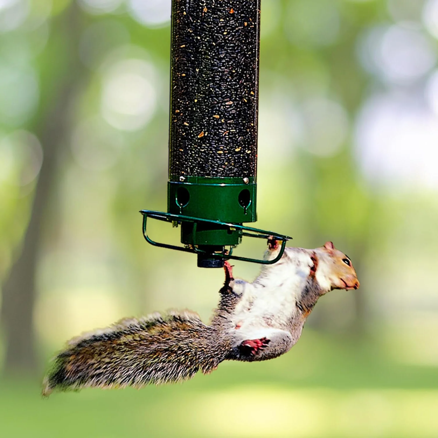 Mangeoire à oiseaux en métal suspendue, design anti-écureuil