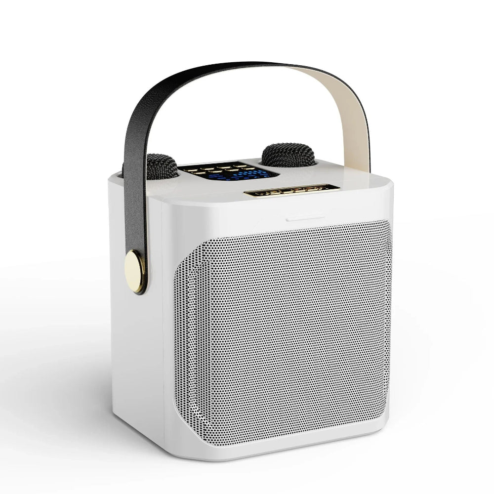Bluetooth-højttaler bærbar trådløs karaokemaskine