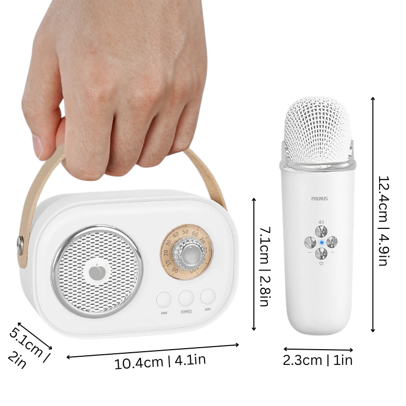 Karaoke přístroj Retro Bluetooth hudební reproduktor sada