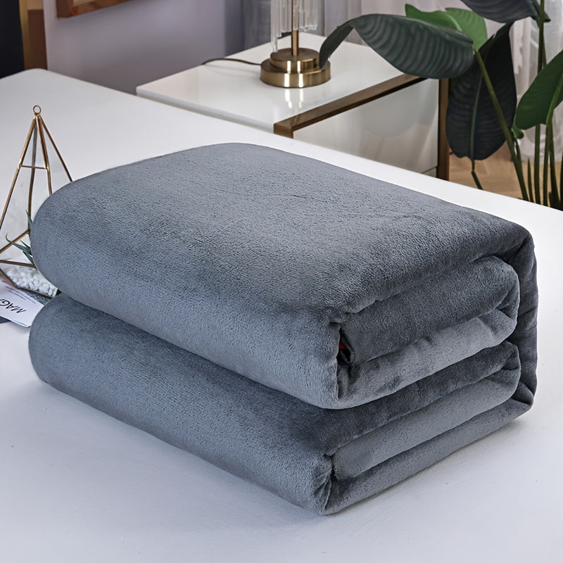 CozyCloud - Ultra Soft Thick Fleece Blanket