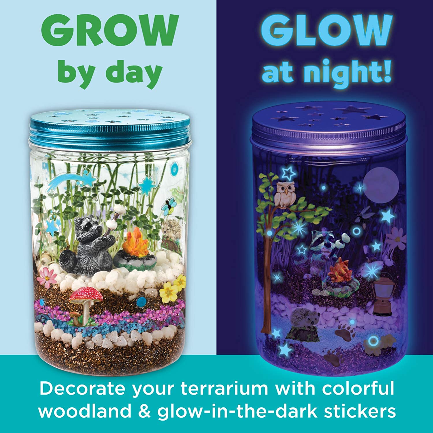 Plantevækst sæt farverigt terrarium sæt