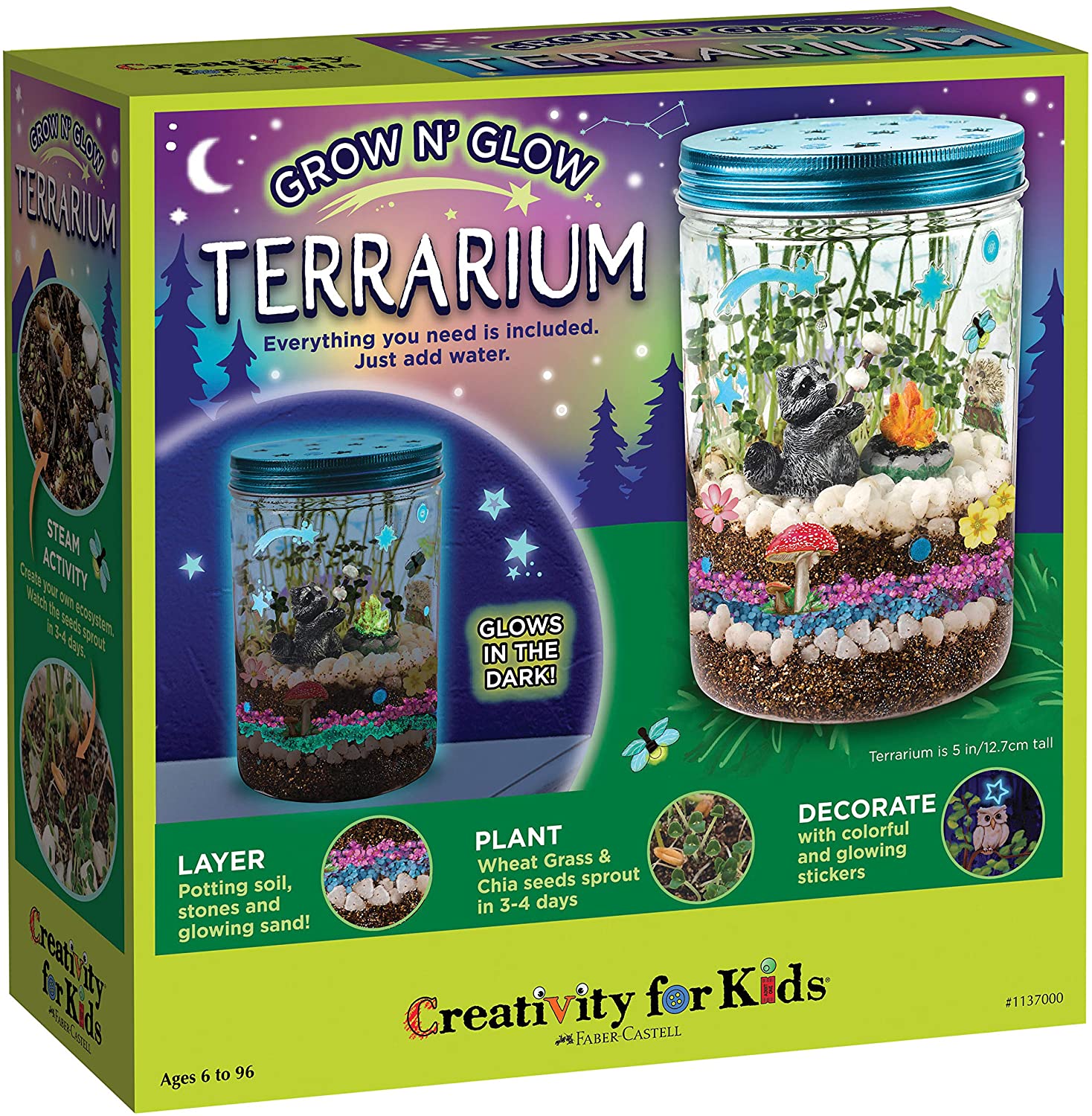 Plantevækst sæt farverigt terrarium sæt