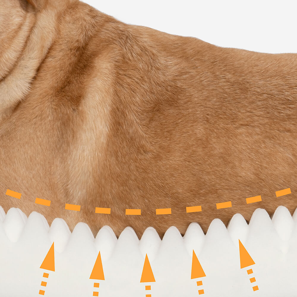 Waterproof Orthopedic Dog Bed with Soft Fleece