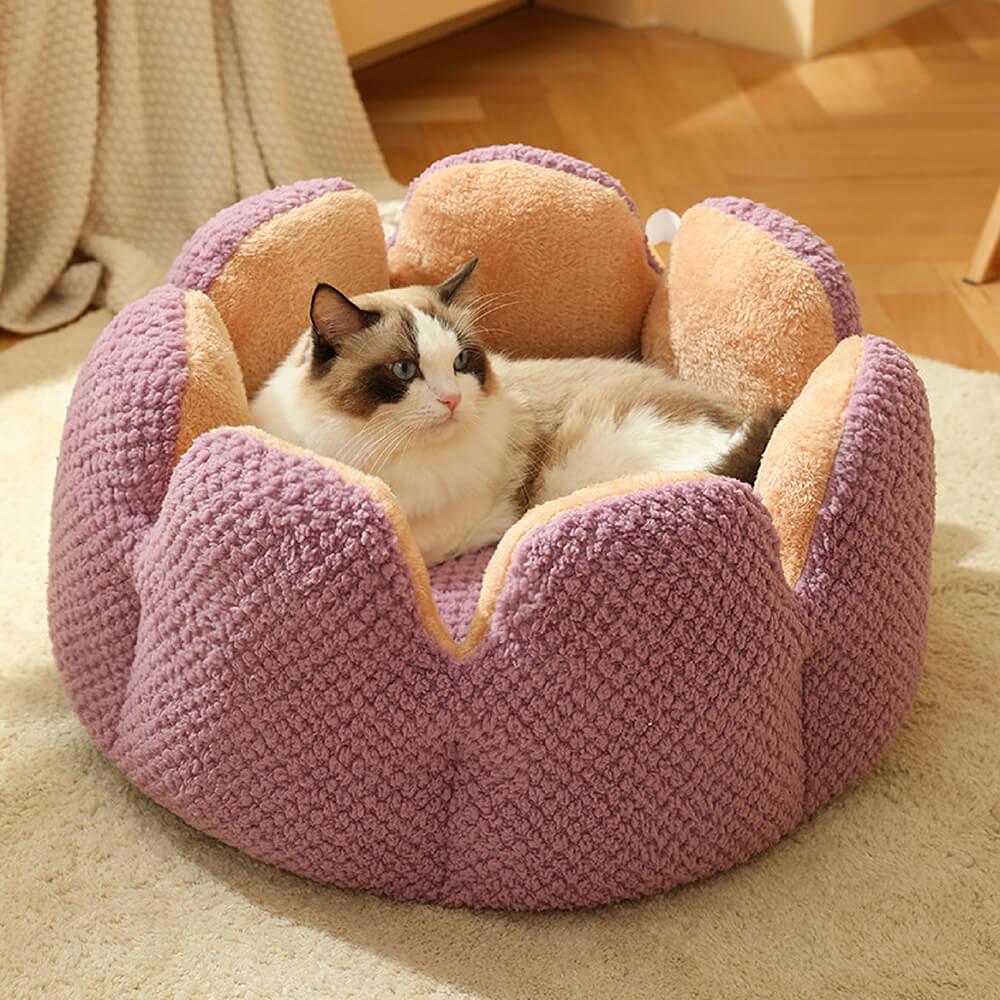 Katteseng Blødt Blomsterdesign til Katte Hunde