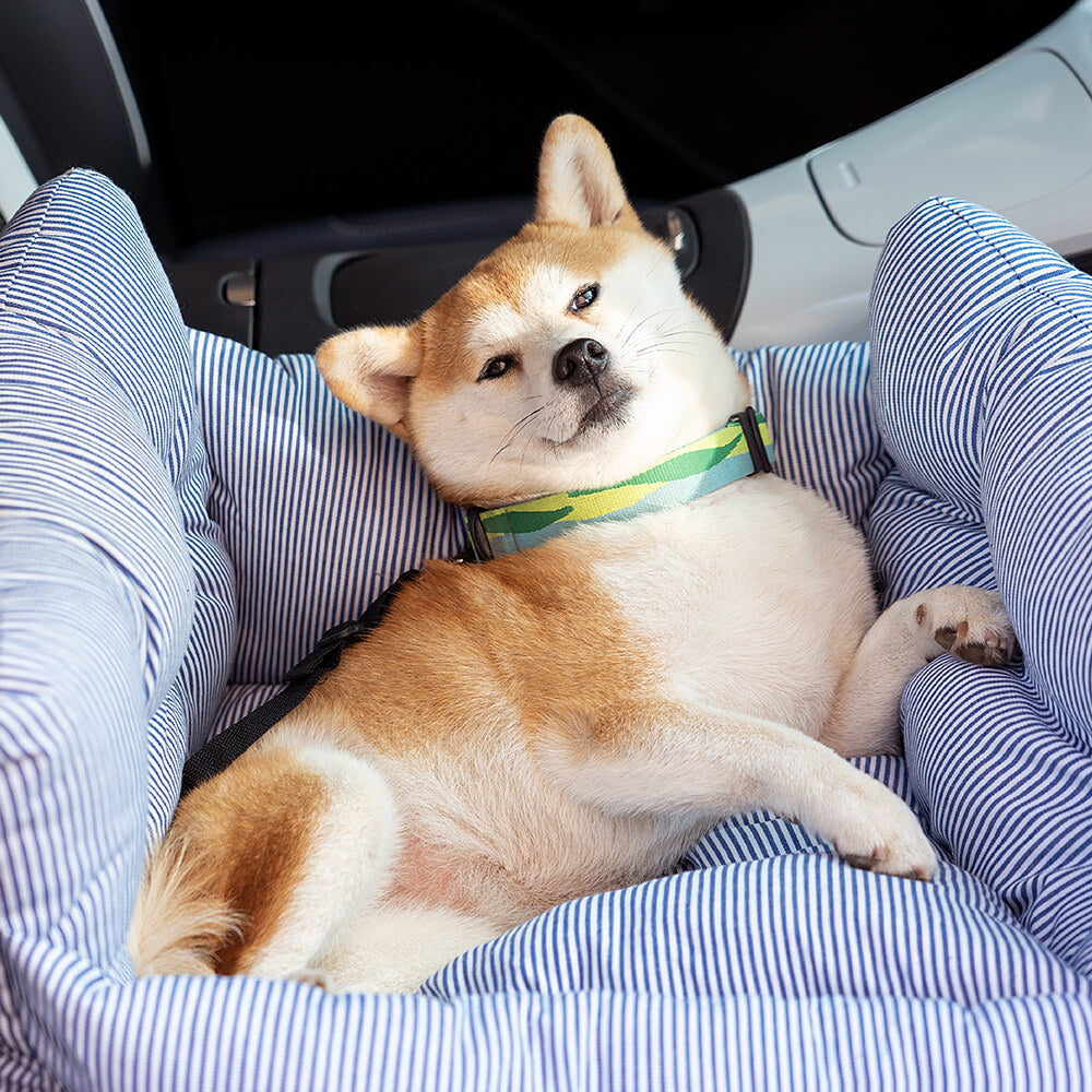 Dog Car Seat with Safety Strap and Cushion