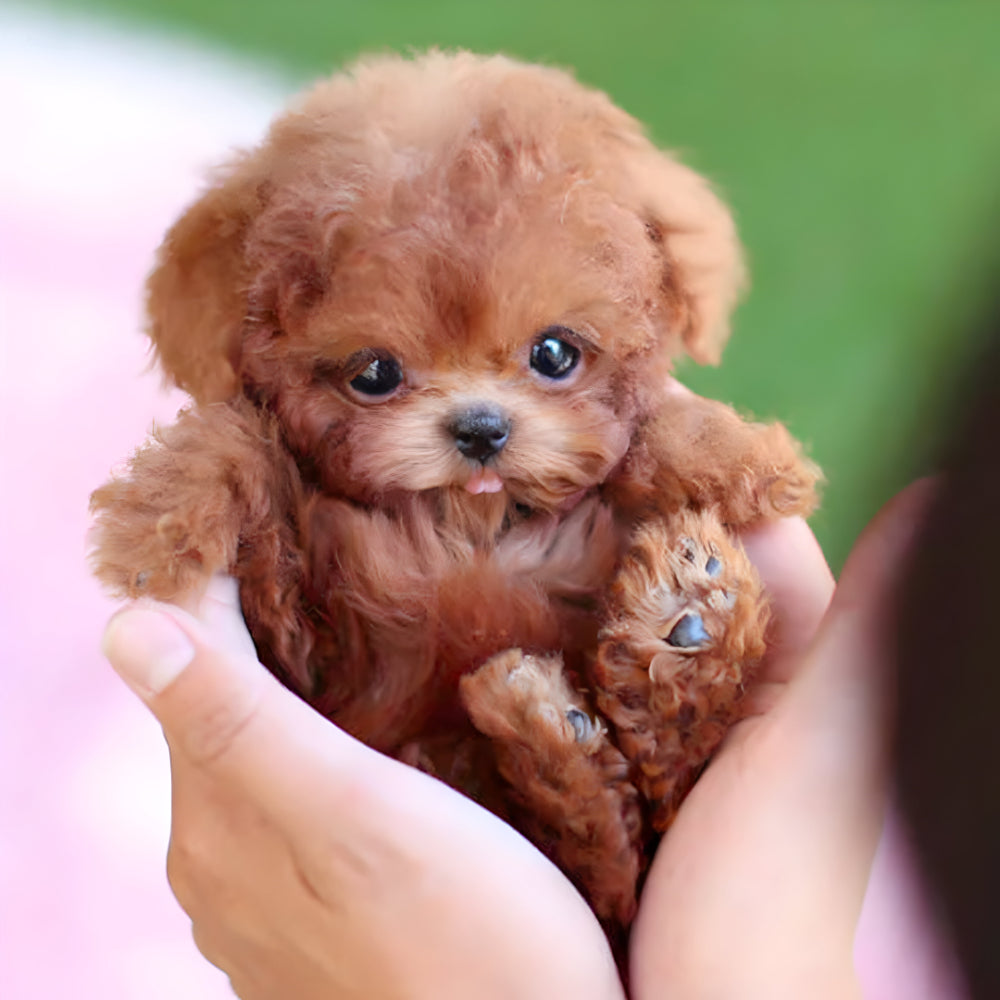 Nicoo Robot Puppy Interactive Toy Realistic Lifelike Dog for Kids