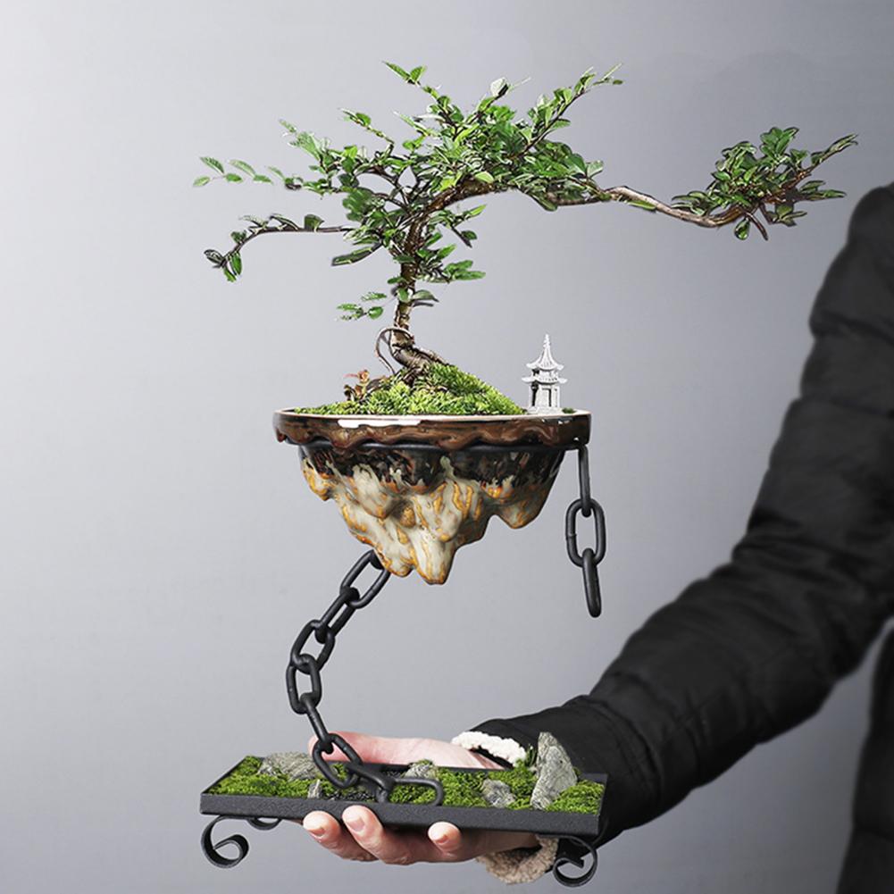 Plantepotte Flydende Bonsai Hængende Display Skål
