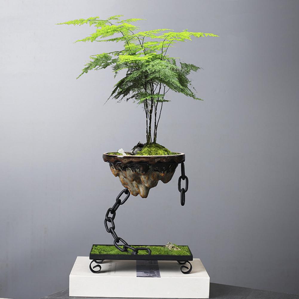 Plantepotte Flydende Bonsai Hængende Display Skål