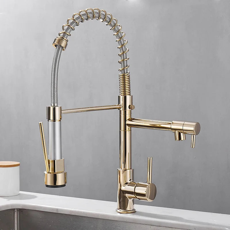 FlexFlow - Dual Spout Brass Kitchen Faucet