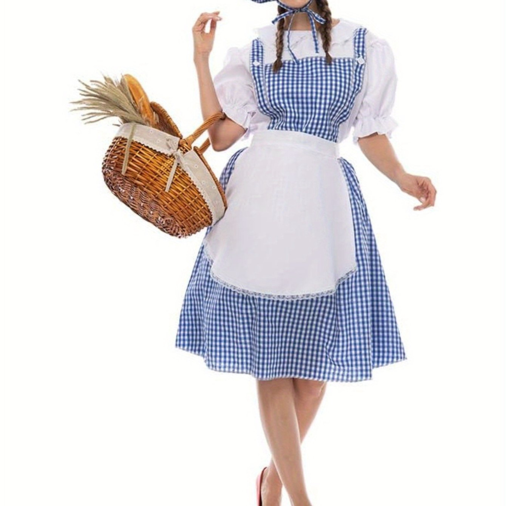 Classic Blue Gingham Halloween Dress Costume
