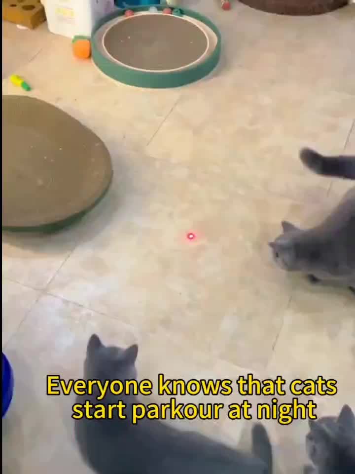 Katte Laser Legetøj Genopladelig Interaktiv Kæledyrs Teaser