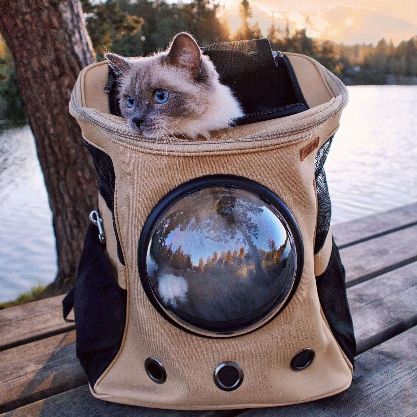 comfortable-cat-travel-backpac-1-lw9w4s