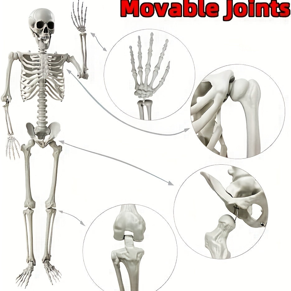 Giant 6 Ft Halloween Skeleton Decoration | Posable Life-Size - Image 6