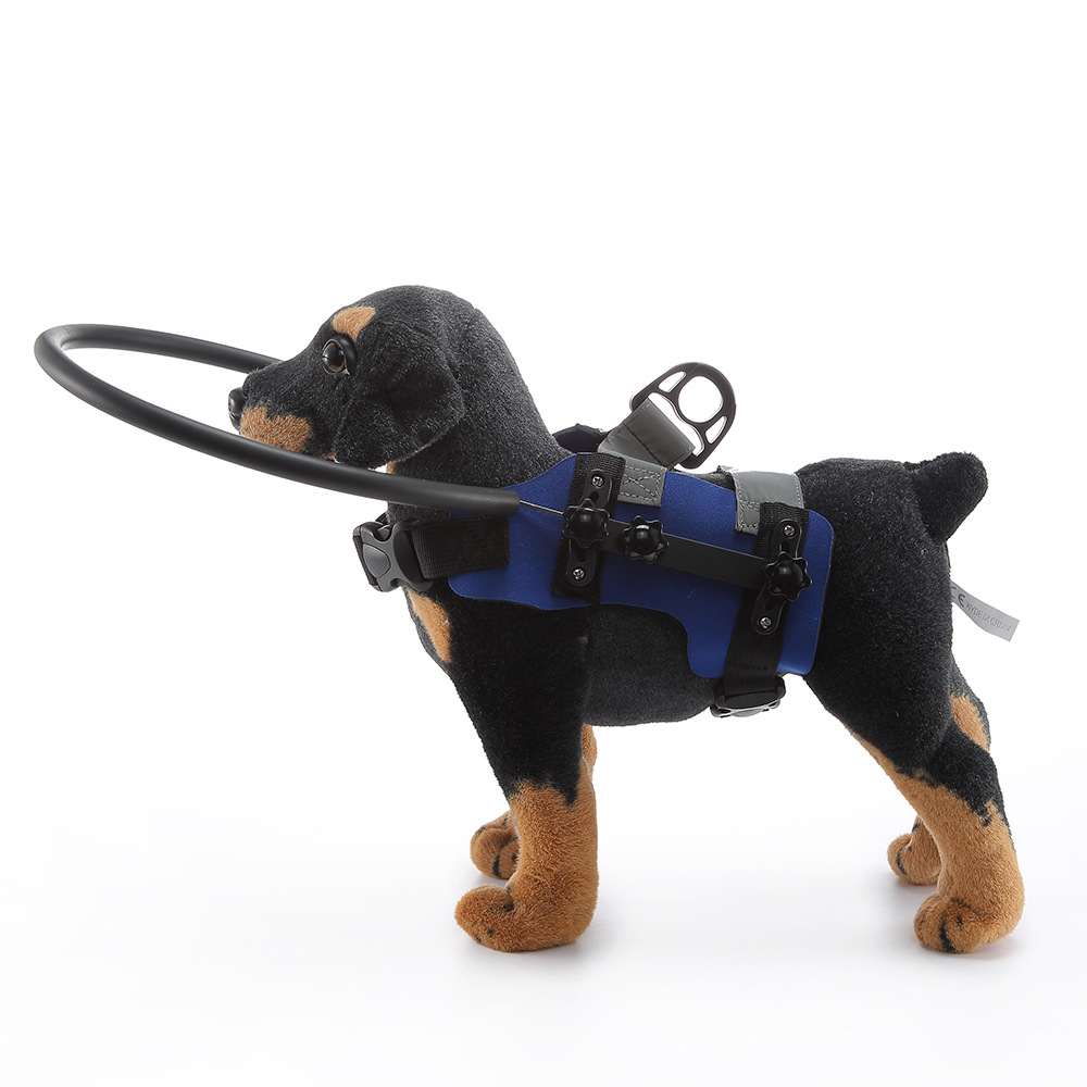 Hundesele med blindefører stødring