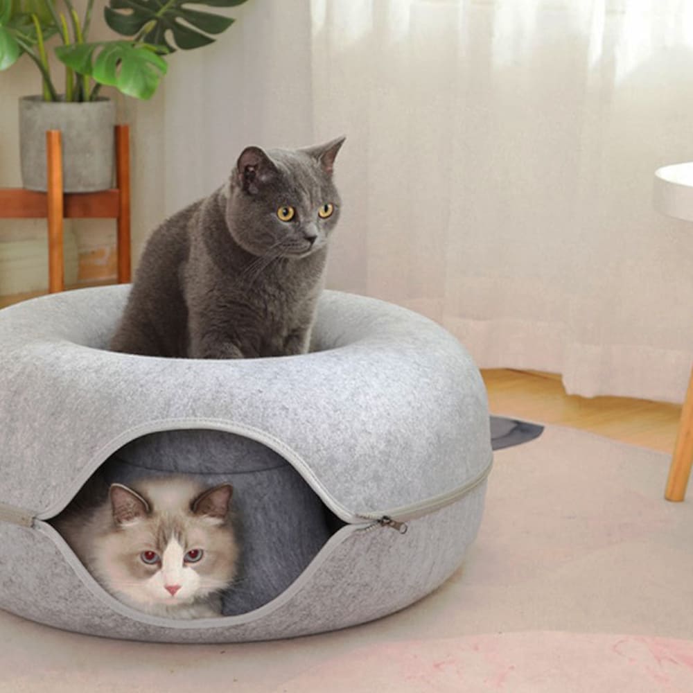 Kattekurv filt tunnel hule til flere katte