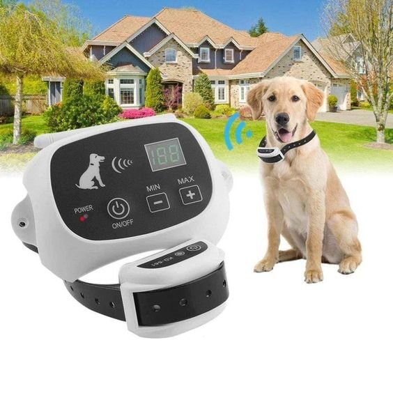 smart-wireless-dog-containment-1-l3awdp