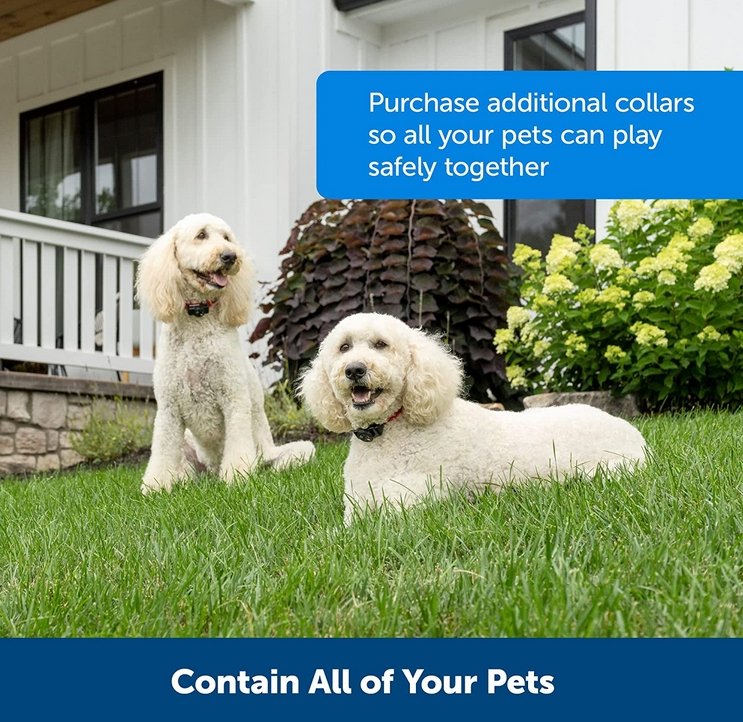 smart-wireless-dog-containment-6-puedsq