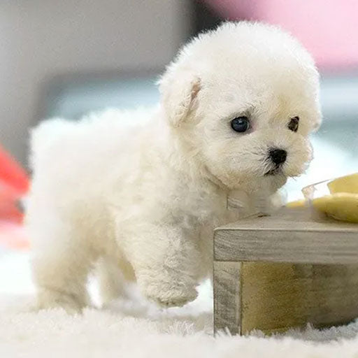 リアリスティック インタラクティブ ぬいぐるみ 子犬 おもちゃ